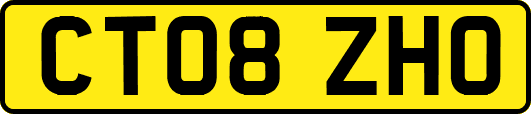 CT08ZHO