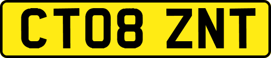 CT08ZNT