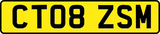 CT08ZSM