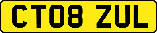 CT08ZUL