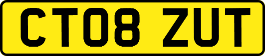 CT08ZUT