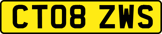 CT08ZWS