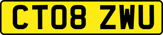 CT08ZWU