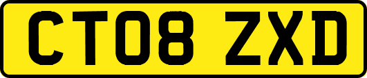 CT08ZXD