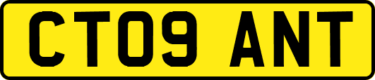 CT09ANT