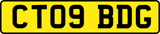 CT09BDG