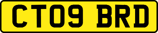 CT09BRD