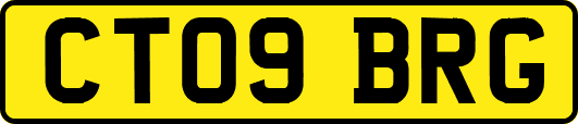 CT09BRG