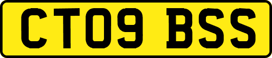 CT09BSS