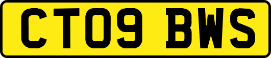CT09BWS