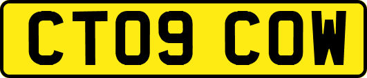 CT09COW