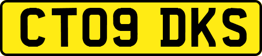CT09DKS