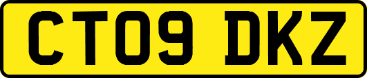 CT09DKZ