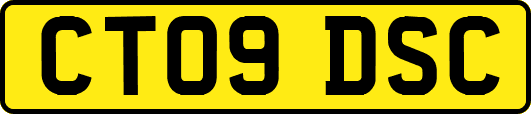 CT09DSC