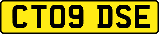 CT09DSE
