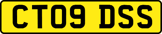 CT09DSS