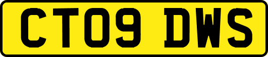 CT09DWS