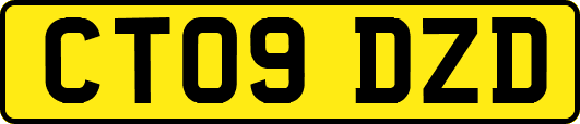 CT09DZD