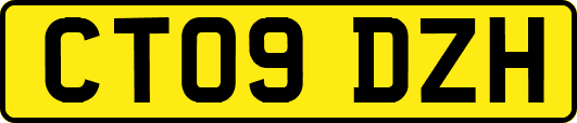 CT09DZH