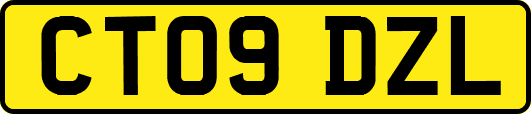 CT09DZL