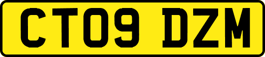 CT09DZM