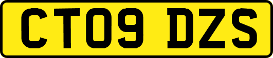 CT09DZS