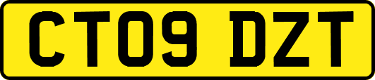 CT09DZT