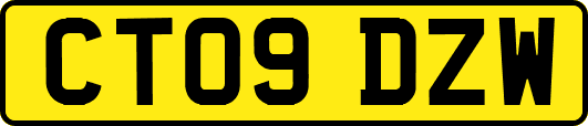 CT09DZW