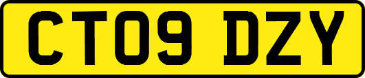 CT09DZY