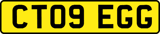 CT09EGG
