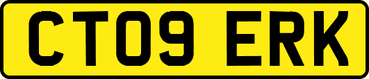 CT09ERK