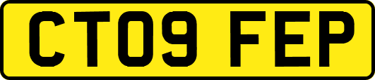 CT09FEP