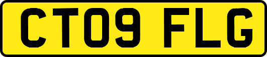 CT09FLG