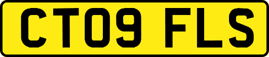CT09FLS
