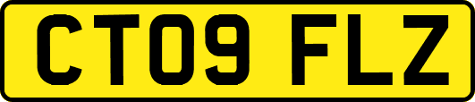 CT09FLZ