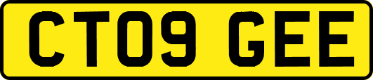 CT09GEE