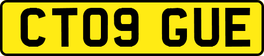 CT09GUE