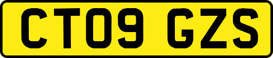 CT09GZS