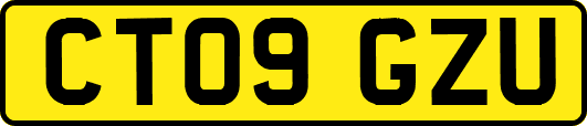 CT09GZU