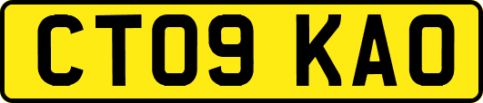 CT09KAO