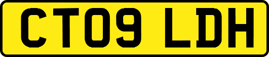 CT09LDH