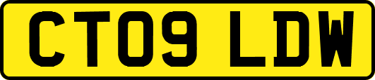 CT09LDW