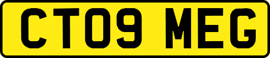 CT09MEG