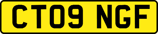 CT09NGF
