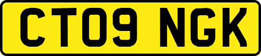 CT09NGK