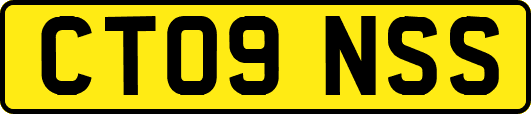 CT09NSS