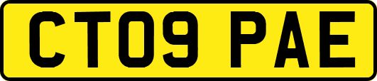CT09PAE
