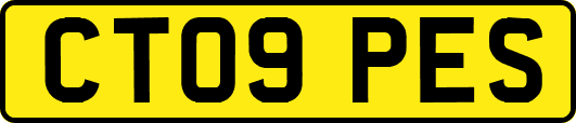 CT09PES