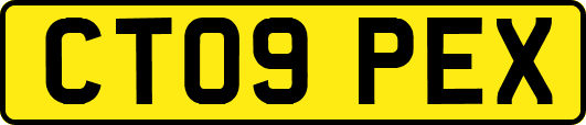 CT09PEX