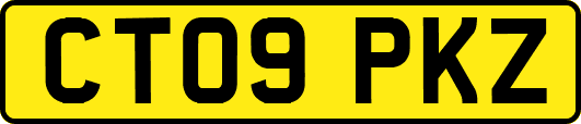 CT09PKZ
